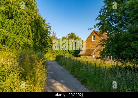 Sommerabend im lockeren Tal Maidstone Kent Stockfoto
