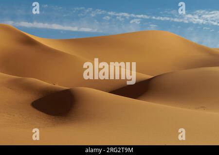 Sanddünen im Erg Awbari. Wüste Sahara, Fezzan, Libyen Stockfoto