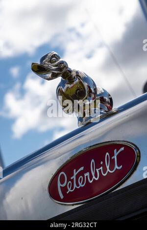 Truck Art. 47. Annual Gloucestershire Vintage and Country Extravaganza, South Cerney Airfiled, Cirencester. UK Stockfoto