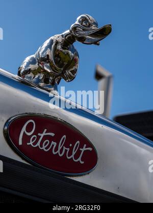 Truck Art. 47. Annual Gloucestershire Vintage and Country Extravaganza, South Cerney Airfiled, Cirencester. UK Stockfoto