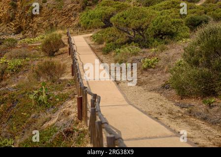 Küstenstraße durch Punta de s'Arenella, nördlich des Kaps Cap de Creus (Alt Empordà, Girona, Katalonien, Spanien) ESP: Camino de ronda Stockfoto