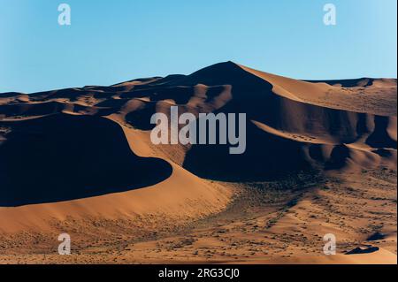 Wirbelnde Grat-Linien aus roten Sanddünen in der Sossusvlei. Namib Naukluft Park, Namib Desert, Namibia. Stockfoto