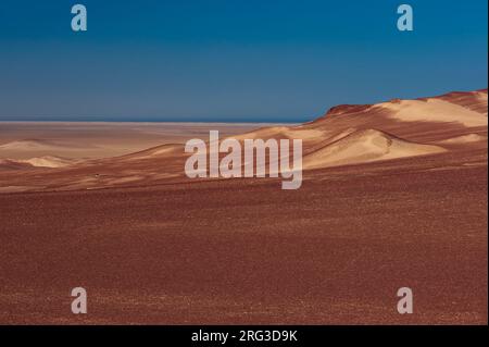 Weitläufige, sonnendurchflutete Sanddünen an der Skeleton Coast. Skeleton Coast, Kunene, Namibia. Stockfoto