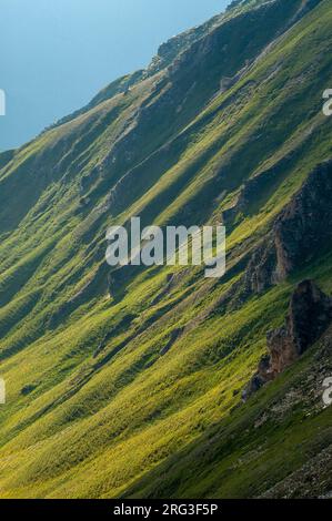 Die Großglockner Hochalpenstraße in Österreich. Steiler Berghang. Stockfoto