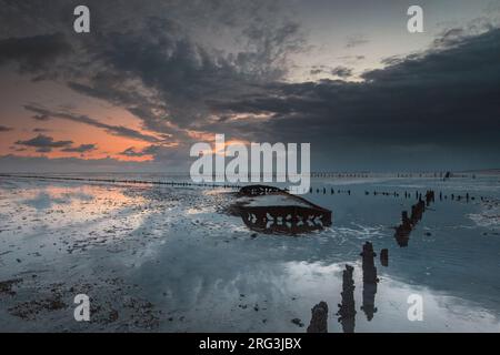 Wrack am Wattenmeer in wierum Stockfoto