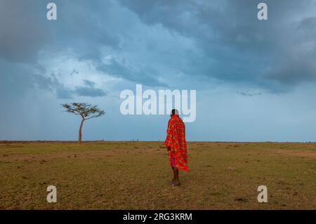 Ein Masai-Mann, der in der Savanne läuft, als ein Regensturm herannaht. Masai Mara National Reserve, Kenia. Stockfoto