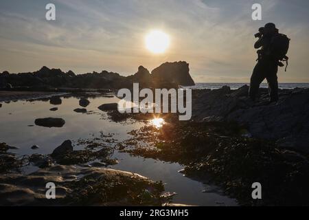 Ein Fotograf in Aktion an einem Ufer bei Ebbe am Hartland Quay, Hartland, an der Atlantikküste von Devon, Großbritannien. Stockfoto
