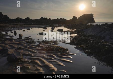 Sonnenuntergang über einem Ufer bei Ebbe, mit gewelltem Sand, einem Felsenpool und Felsen, am Hartland Quay, Hartland, Atlantikküste von Devon, Großbritannien. Stockfoto