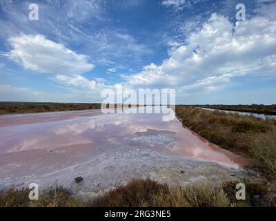 Salpinen und Küste Portugals in Rio Formosa. Stockfoto