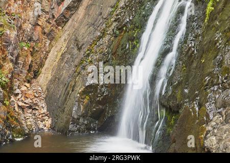 Ein Wasserfall stürzt auf einer senkrechten Klippe an der Küste von Speke's Mill Mouth in der Nähe des Hartland Quay, der Atlantikküste von Devon, Großbritannien, ab. Stockfoto