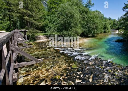 Sava Bohinjka von der Brücke in Ukanc. Nebenfluss des Bohinjsees im Triglav-Nationalpark in Slowenien. Absolut reines Bergwasser. Stockfoto