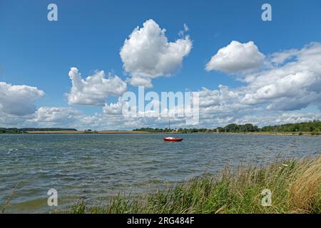 Wolken, Boot, Küste, Schlei bei Maasholm, Schleswig-Holstein, Deutschland Stockfoto