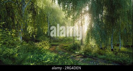 Ein üppiger gemischter Wald aus Birken und Nadelbäumen im Abendlicht in einem feinen nebligen Dunst, der zusammen mit den Bäumen volumetrische Sonnenstrahlen erzeugt Stockfoto