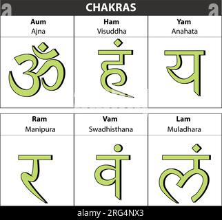 Chakren. Hindi solides Charakterbild des Hinduismus und Buddhismus. Farbige Yoga-Chakra-Symbole isoliert auf Weiß. Für Design, verbunden mit Yoga. Stock Vektor