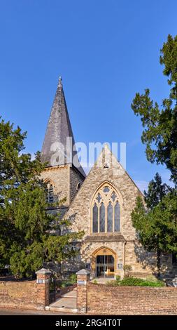 Marienkirche und ihre alten Eibenbäume. East Molesey, Surrey, Großbritannien. Stockfoto