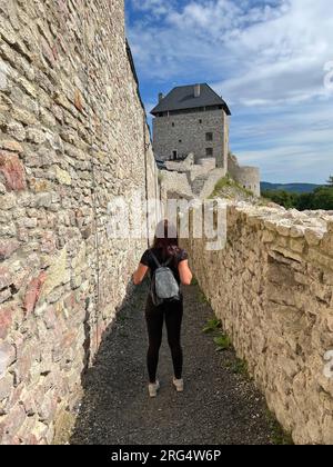 Blick auf das Schloss Regec in Ungarn Stockfoto