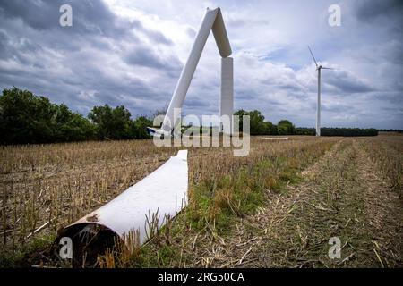 07. August 2023, Mecklenburg-Vorpommern, Dölitz: Eine zerstörte Rotorschaufel liegt auf einem Feld vor einer Windturbine, die vom Sturm abgerissen wurde. Vermutlich verursacht durch einen heftigen Windstoß, wurde eine Windturbine im Windpark südlich von Gnoien zerstört. Die Beamten haben das Gebiet abgesperrt, aber es gab keine Verletzungen. Die anderen fünf Turbinen im Windpark wurden vorsichtshalber gestoppt. Foto: Jens Büttner/dpa Stockfoto