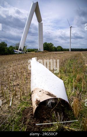 07. August 2023, Mecklenburg-Vorpommern, Dölitz: Eine zerstörte Rotorschaufel liegt auf einem Feld vor einer Windturbine, die vom Sturm abgerissen wurde. Vermutlich verursacht durch einen heftigen Windstoß, wurde eine Windturbine im Windpark südlich von Gnoien zerstört. Die Beamten haben das Gebiet abgesperrt, aber es gab keine Verletzungen. Die anderen fünf Turbinen im Windpark wurden vorsichtshalber gestoppt. Foto: Jens Büttner/dpa Stockfoto