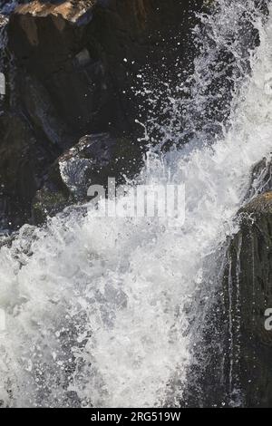 Wasser strömt über einen Wasserfall im Sonnenschein, in Welcombe Mouth, Hartland, Nord-Devon, Großbritannien. Stockfoto