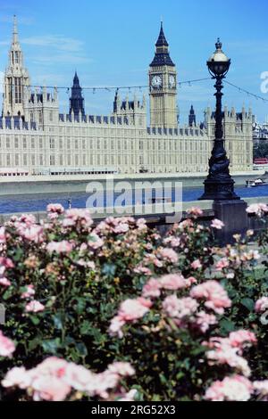 Big Ben, Parlamentsgebäude vom Ufer aus gesehen. London, England, Großbritannien Stockfoto