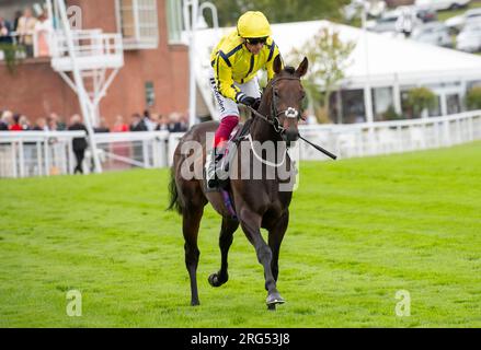 Jockey Frankie Dettori reitet Golden Mind am 1. Tag des Qatar Goodwood Festival Meeting 2023 auf der Rennbahn Goodwood, Chichester Stockfoto