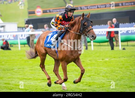 Jockey Hayley Turner reitet meist sonnig am 4. Tag des Qatar Goodwood Festival Meeting 2023 auf der Goodwood Racecourse, Chichester Stockfoto