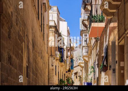 Traditionelle maltesische Kalksteingebäude mit farbigen Balkonen in den lebhaften Gassen der Altstadt von Birgu, Citta Vittoriosa ohne Menschenmassen. Stockfoto