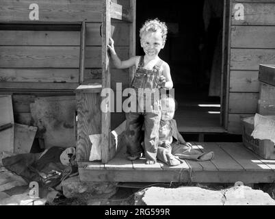 Kinder von Wanderarbeitern, Yakima, Washington, USA, Arthur Rothstein, USA Farm Security Administration, Juli 1936 Stockfoto