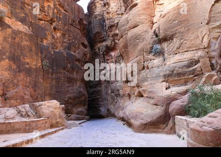 Der Al-Siq, der Haupteingang Canyon nach Petra, Jordanien, Naher Osten Stockfoto