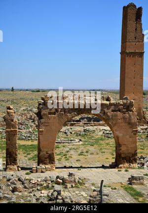 In den alten Ruinen von Harran, Türkei, befindet sich eine Madrasa aus dem 12. Jahrhundert. Sie gilt als die älteste Universität der Welt. Stockfoto