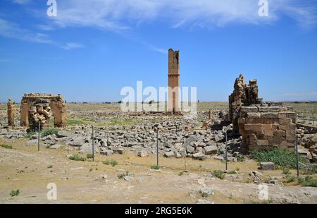 In den alten Ruinen von Harran, Türkei, befindet sich eine Madrasa aus dem 12. Jahrhundert. Sie gilt als die älteste Universität der Welt. Stockfoto