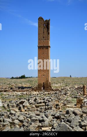 In den alten Ruinen von Harran, Türkei, befindet sich eine Madrasa aus dem 12. Jahrhundert. Sie gilt als die älteste Universität der Welt. Stockfoto