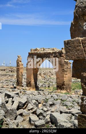 In den alten Ruinen von Harran, Türkei, befindet sich eine Madrasa aus dem 12. Jahrhundert. Sie gilt als die älteste Universität der Welt. Stockfoto