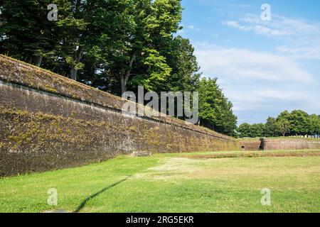 Italien, Toskana, Lucca, Le mura, historische Stadtmauer Stockfoto