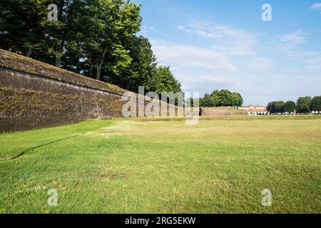 Italien, Toskana, Lucca, Le mura, historische Stadtmauer Stockfoto