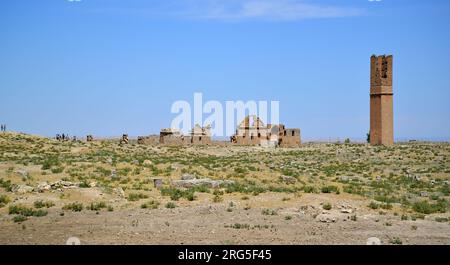 In den alten Ruinen von Harran, Türkei, befindet sich eine Madrasa aus dem 12. Jahrhundert. Sie gilt als die älteste Universität der Welt. Stockfoto