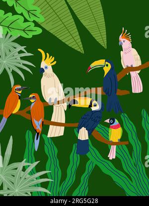 Verschiedene Arten exotischer Vögel. Grafische Darstellung des Vektorgrafiken-Cartoons. Vogelposter. Vektordarstellung Stock Vektor