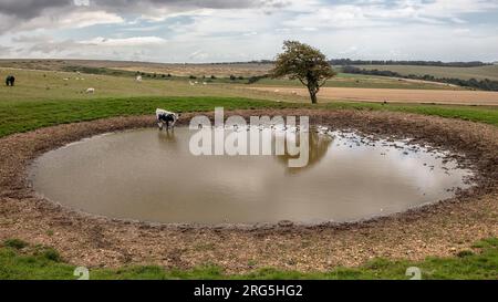 Großer Tauteich in den South Downs Stockfoto