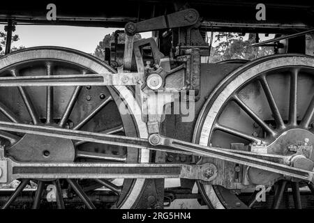 Historische Dampfeisenbahn in der Landschaft von Siena, Toskana, Italien, Europa Stockfoto