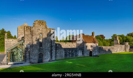 Boyle Abbey, County Roscommon, Irland Stockfoto