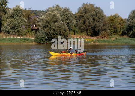 Serbien, 04. August 2023: Die Teilnehmer der TOUR INTERNATIONAL DANUBIEN (TID) Regatta (Quelle der Donau-Schwarzes Meer) passieren eine Etappe Veliko Selo Stockfoto