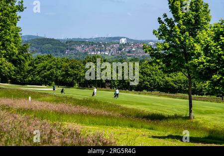 Blick über den Golfplatz des Golfklubs Bochum in Richtung Witten, NRW, Deutschland Stockfoto