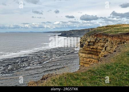 Glamorgan Heritage Coast mit Blick vom Nash Point Beach über den Monknash Beach mit Klippen, Felsen, Sand und Meer - Bristol Channel - South Wales Stockfoto