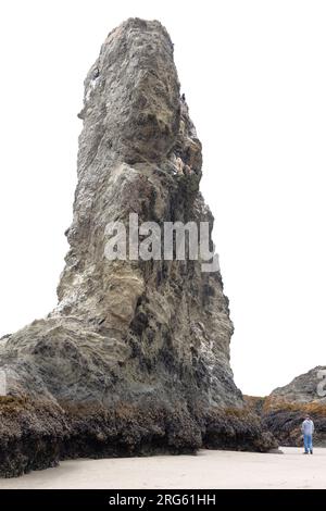 Ein Mann, der an einem Sommertag am Face Rock Beach in Bandon, Oregon, neben einem Hochseestapel steht. Stockfoto