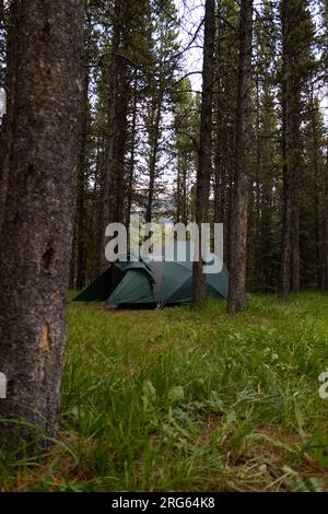 Ein Zelt tief im Wald mit Bäumen umgeben Stockfoto