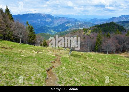 Malerischer Blick auf den Berg Ratitovec von einer Wiese im Balg Porezen in Gorenjska, Slowenien Stockfoto