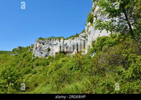 Blick auf die Felsformation Veli Badin am Karst Edge in Istrien, Slowenien Stockfoto