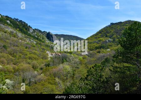 Malerischer Blick auf Val Rosandra oder das Glinscica-Tal bei Triest in Italien im Frühling mit weißen blühenden Bäumen Stockfoto