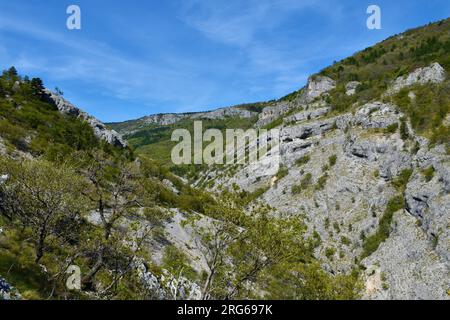 Felsige Hänge im Val Rosandra-Tal bei Triest in Italien mit weißen blühenden Bäumen im Frühling Stockfoto