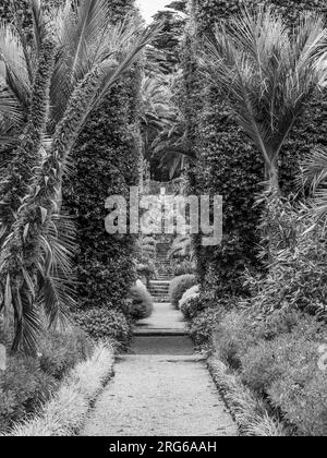 Schwarz-weiß, Neptun-Stufen, Tresco Abbey Gardens, Tresco, Scilly-Inseln, Cornwall, England, GB. Stockfoto